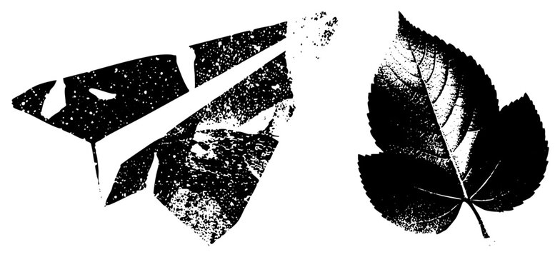 Stylized paper plane and botanical leaf rendered in halftone dot origami glider and foliage silhouette, graphic element for design use.