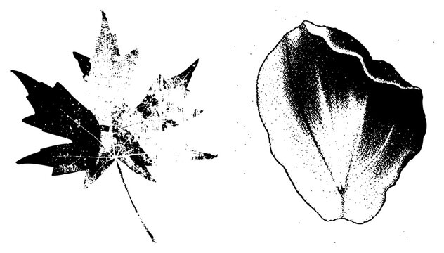 Botanical leaf silhouettes rendered in halftone dot, autumn foliage cutouts, nature graphics, plant, decorative flora elements.