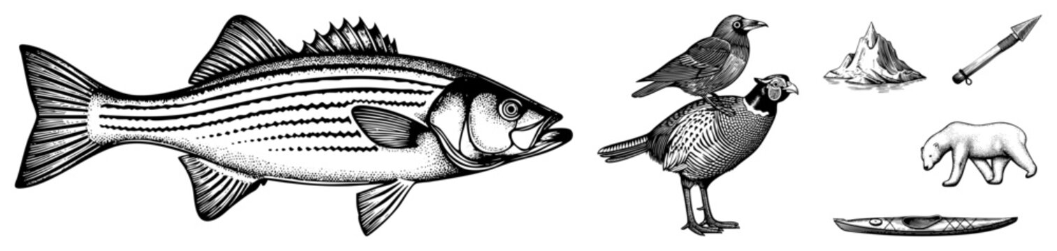 Detailed fish and fauna collection including striped bass, pheasant, crow, bear,, iceberg, spear ideal for nature themed designs, educational graphics, or outdoor branding.