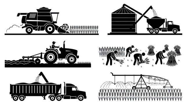 Agriculture Farming Process Glyph Icons Set. Grain Harvest, Planting, Irrigation Black White Silhouette