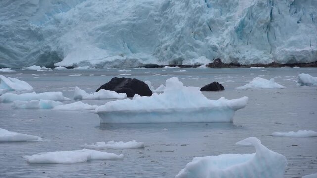 Steady close-up shot of blue-tinted icebergs and brash ice floating in the Errera Channel with a massive tidewater glacier wall in the background at Georges Point, Antarctica