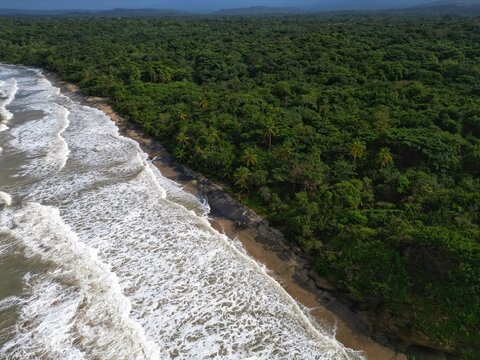 Aerial view of the tropical coastline where white waves crash against the sandy shore of Palomino beach bordered by dense green jungle Palomino, La Guajira, Colombia.