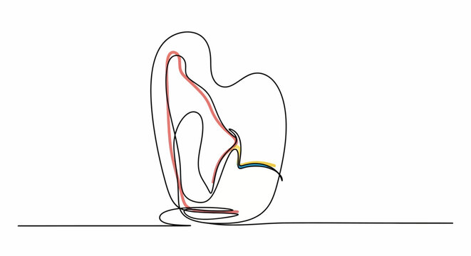 Tooth Dental Anatomy Line Art.