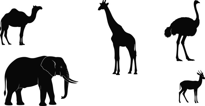 Flat vector illustration, animal silhouettes, camel humps, giraffe neck, ostrich legs, elephant trunk, gazelle horns, wildlife comparison, safari animals, nature design