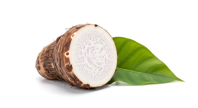 Taro root with green leaf.