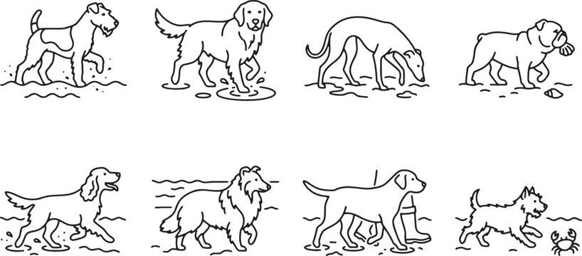 Outdoor adventure icons with dogs walking in mud and water