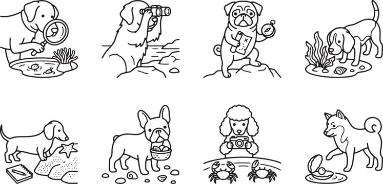 Curious dogs exploring the beach tide pools and ocean life