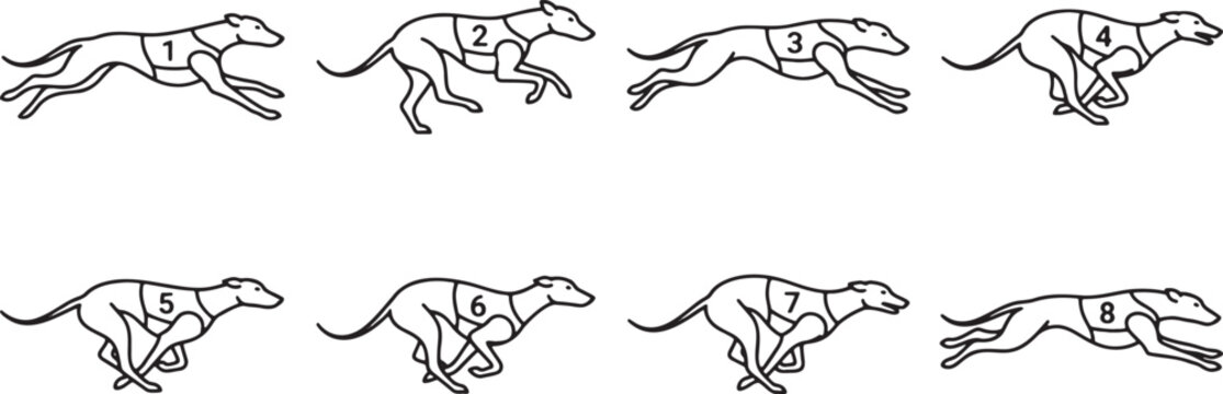 Greyhound dog running sequence animation frames in line art
