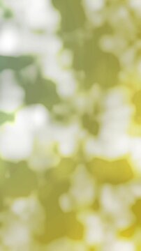 Vertical abstract motion background with smooth flowing shapes and vibrant gradient colors. Perfect for Instagram Reels, TikTok, YouTube Shorts, and mobile-first content. Features seamless animation, 