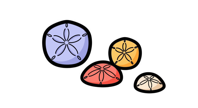 Colorful Sand Dollars Displayed on a White Background.