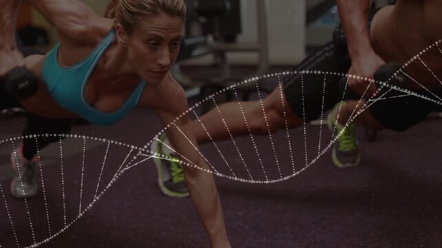 Training partners starting plank performing rows with dumbbells for core while helix sweeping front