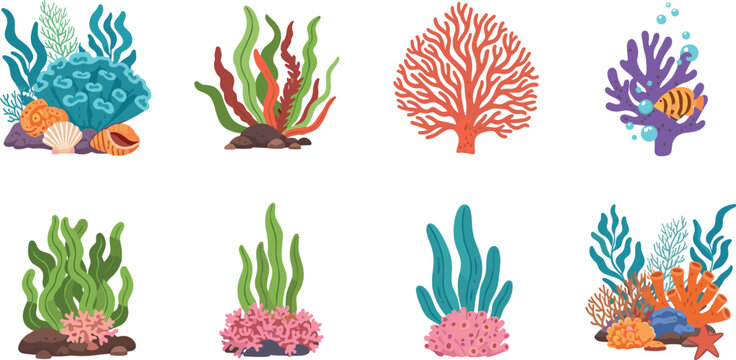 Colorful coral reef and sea plants collection with underwater marine elements in vibrant flat vector illustration style set