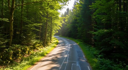 Obraz premium Winding Road Through Lush Green Forest on a Sunny Day.