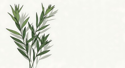 Obraz premium Green leaves on white background.