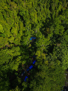 Aerial view of Mount Leuser National Park featuring a dense tropical rainforest canopy with blue tents of a campsite nestled among tall trees in Kecamatan Darul Hasanah, Aceh, Indonesia.