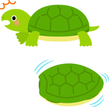 甲羅の中に引っ込む亀のキャラクター