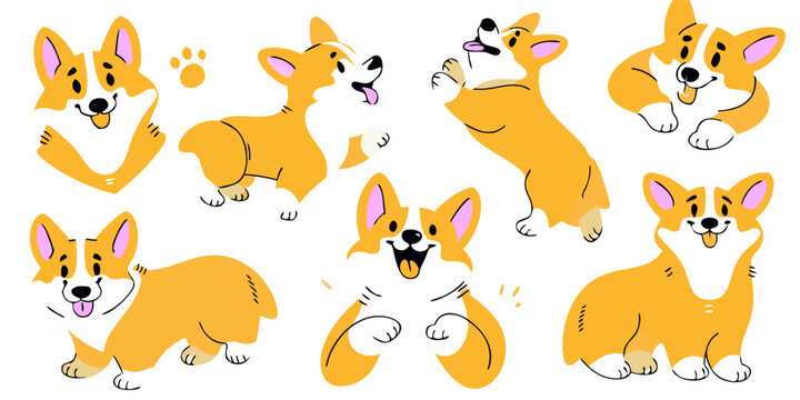 Playful corgi dogs in various poses and a paw print illustration