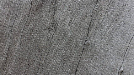 Close up texture of a tree bark © SISIRA