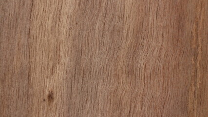Close up texture of a tree bark © SISIRA