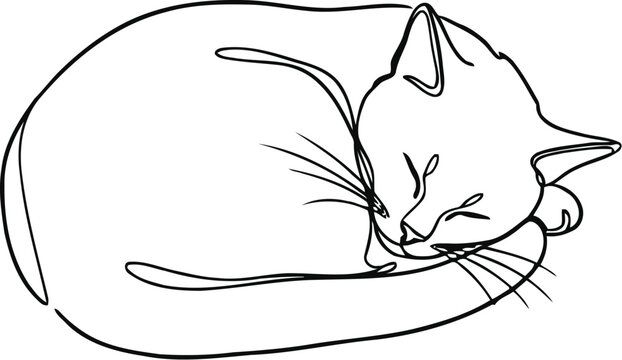 Simple line drawing of a cat curled up sleeping peacefully