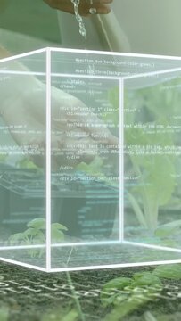 Vertical video: Adult hand watering plants sparking wire cube filling with code to show tech data