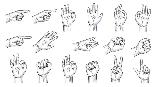 Collection of Hand Gestures and Poses in Sketch Style.