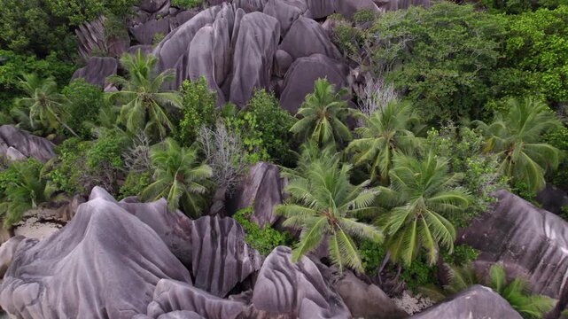 Reveal drone of spectacular low tide beach and granite stone of Anse source d'argent, La Digue, Seychelles 014 30fps