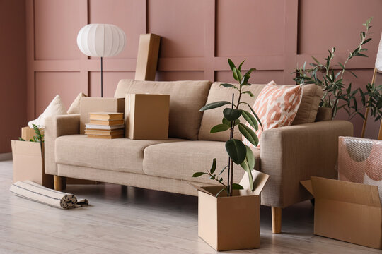 Grey sofa with books and boxes near brown wall in room on moving day