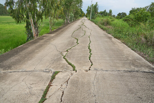 damaged concrete road with grass and greenery