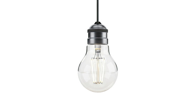 Edison LED Filament Light Bulb