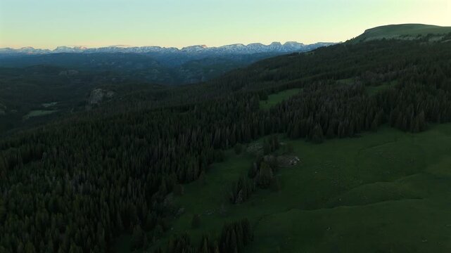 Aerial footage of Beartooth Highway in Montana captures vast evergreen forests and green meadows stretching toward distant snow-capped mountain peaks during golden hour twilight.