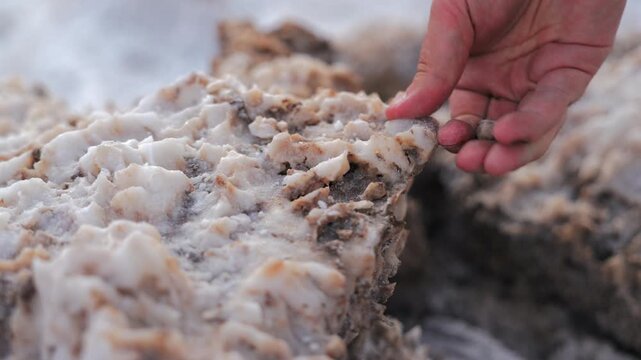 Close-up of a hand examining rough crystallized salt deposits at Devils Golf Course in Death Valley National Park. Textured mineral formations show white and brown natural patterns.