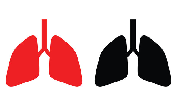 Human lungs vector icon. Human body parts symbol. Human lung. Human anatomy symbol.