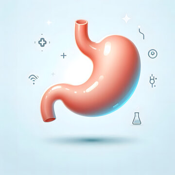 Human Stomach filled full by fast food. Gastric juice digesting many food in Stomach. Stomach with seasoned chips inside Illustration about digestive system. Realistic 3d Vector