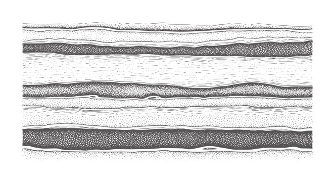 Black and white horizontal layers of textured rock strata abstract pattern