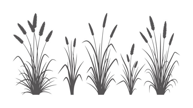 Dark gray silhouette of five different sized cattail plants white grass