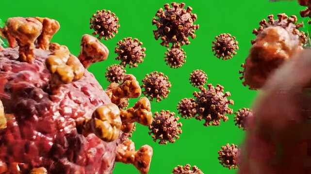 Microscopic View of Coronavirus Particles Floating in Green Screen Background.