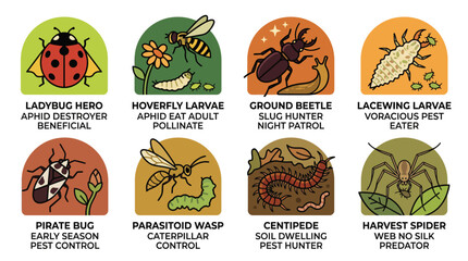 Fototapeta premium Vector illustration of beneficial garden insects and bugs for natural pest control infographic