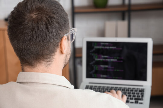 Portrait of male programmer working with laptop in office, back view