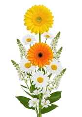 Obraz premium Vibrant bouquet of colorful gerbera daisies and small white wildflowers isolated on white background.