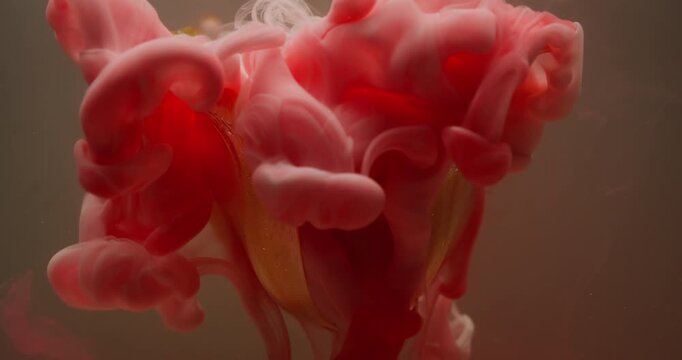 Floral paint. Color mix. Defocused wet yellow tulip flower pink white smoke water splash floating on abstract art acrylic background.