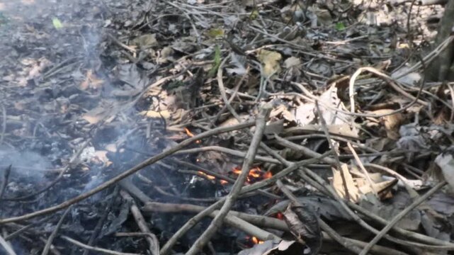 pile of dried twigs and leaves burned in a yard in a rural area in Java, Indonesia