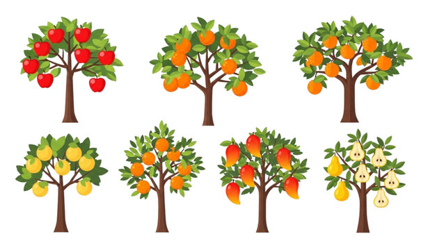 Fruit trees harvest vector illustration ripe orchard botanical set