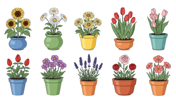 Garden flowers in flowerpots vector set isolated botanical illustration