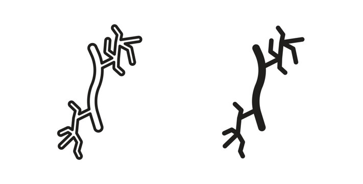 Human artery icon line style collection. Simple black solid icons