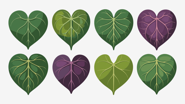 Heart-Shaped Leaves Vector Set Green and Purple Botanical Illustration