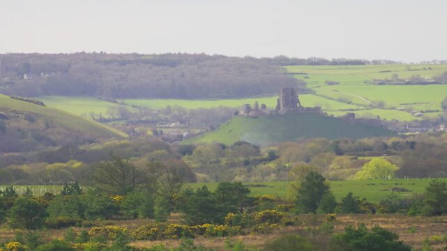 View of Corfe Castle ruins on a hill surrounded by rolling Dorset countryside fields and woodland in England