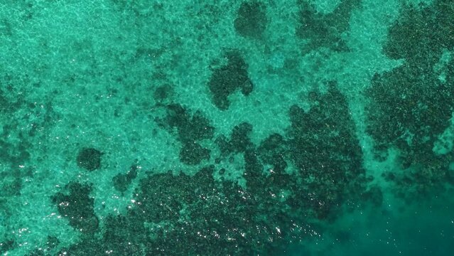 Aerial Top Down View of Turquoise Sea and Coral Reef