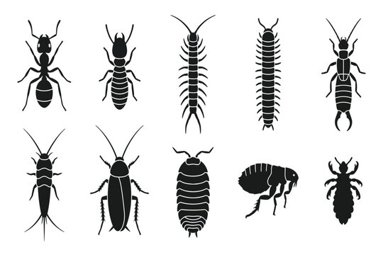 set of cockroach silhouettes isolated on transparent background