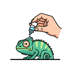 Fototapeta premium Caring for a Chameleon Administering Eye Drops